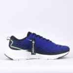 Baskets Champion Could RBL - Image 2