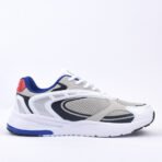 champion - Image 4