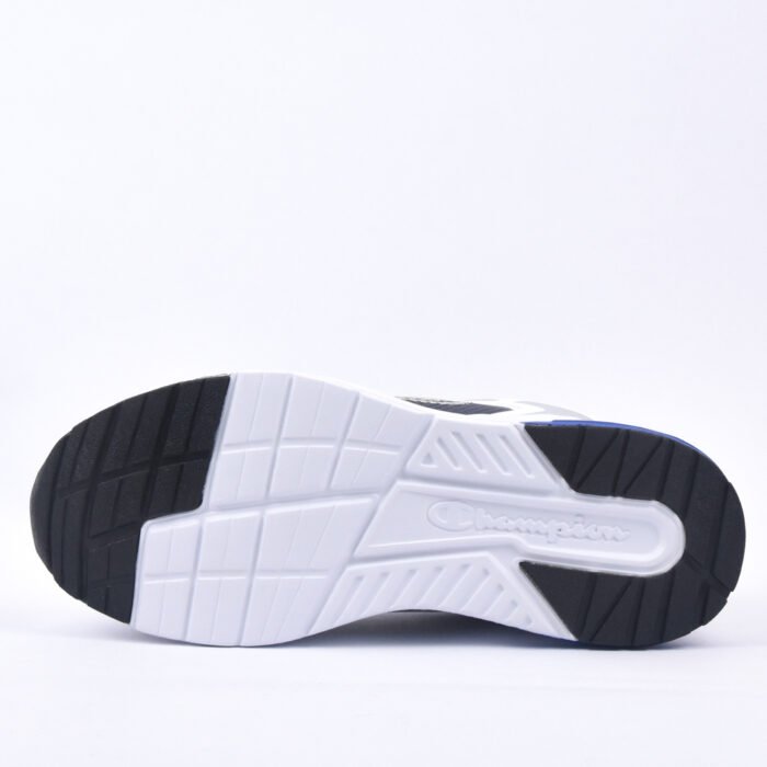 champion - Image 5