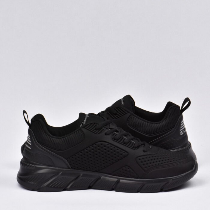 champion - Image 5