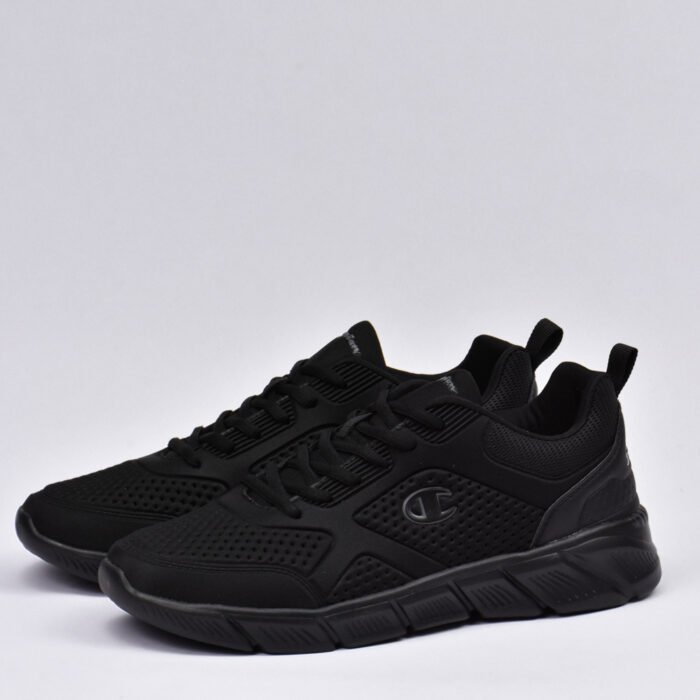 champion - Image 2
