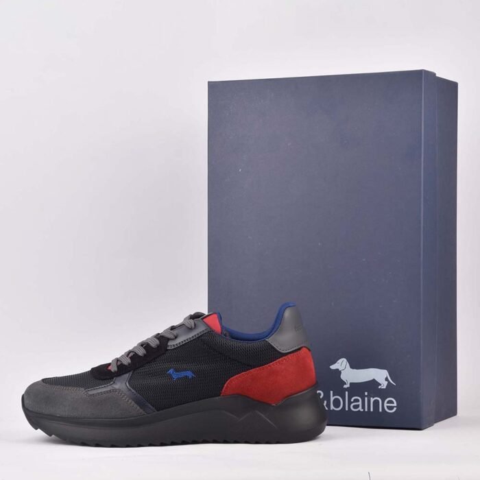 HARMONT AND BLAINE SCARPA UOMO CAMOSCIO - Image 12