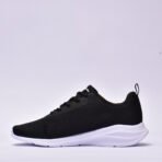 champion - Image 4
