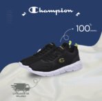 champion - Image 7