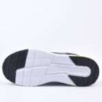 champion - Image 5