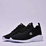 champion - Image 2