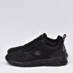 champion - Image 3